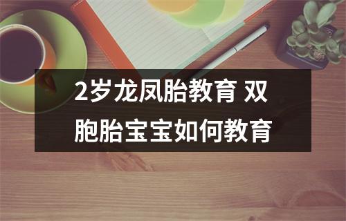 2岁龙凤胎教育 双胞胎宝宝如何教育