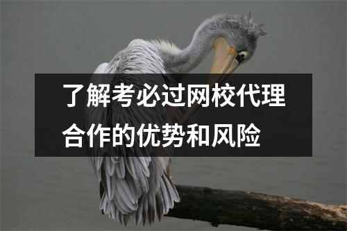 了解考必过网校代理合作的优势和风险