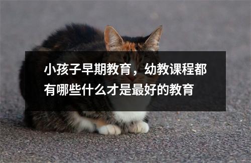 小孩子早期教育,幼教课程都有哪些什么才是最好的教育