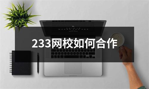 233网校如何合作
