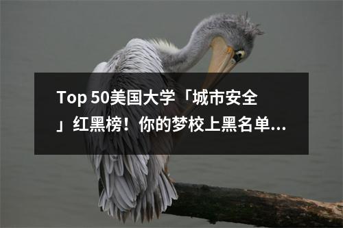 Top 50美国大学「城市安全」红黑榜!你的梦校上黑名单了吗