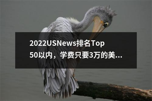 2022USNews排名Top50以内,学费只要3万的美国名校都有谁?