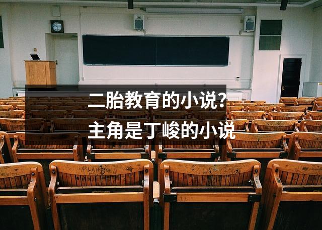 二胎教育的小说？主角是丁峻的小说