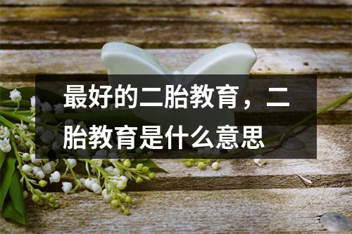 最好的二胎教育,二胎教育是什么意思