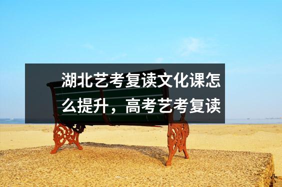 湖北艺考复读文化课怎么提升,高考艺考复读