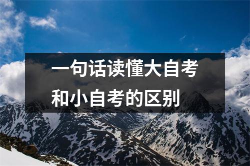 一句话读懂大自考和小自考的区别