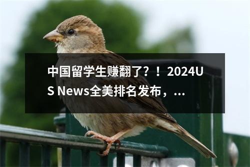 中国留学生赚翻了？！2024US News全美排名发布，加州大学鲨疯了！