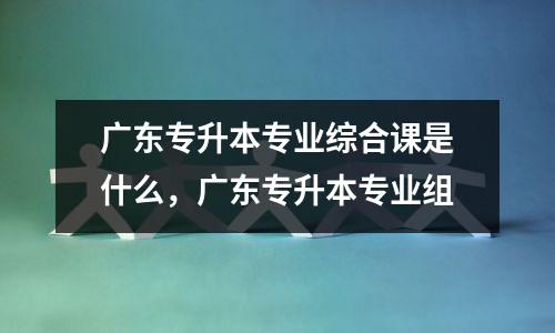 广东专升本专业综合课是什么,广东专升本专业组