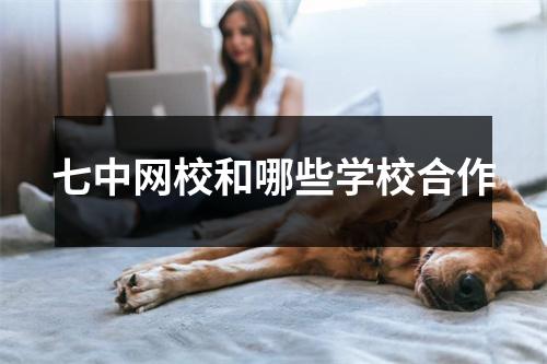 七中网校和哪些学校合作