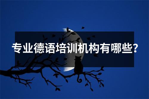 专业德语培训机构有哪些?