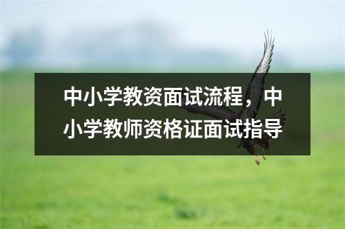 中小学教资面试流程,中小学教师资格证面试指导