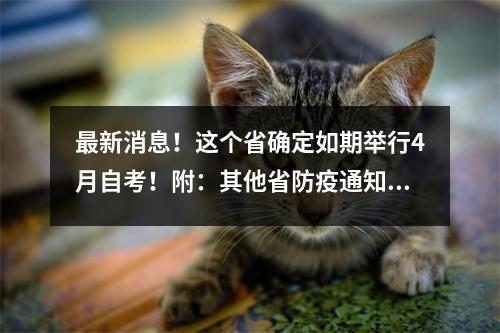 最新消息!这个省确定如期举行4月自考!附:其他省防疫通知!