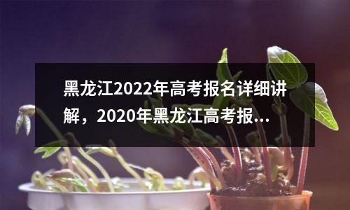 黑龙江2022年高考报名详细讲解，2020年黑龙江高考报名政策