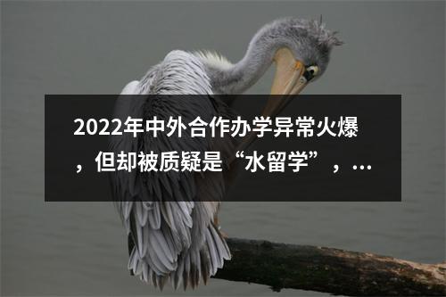 2022年中外合作办学异常火爆,但却被质疑是“水留学”,究竟靠不靠谱?