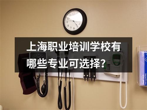 上海职业培训学校有哪些专业可选择?