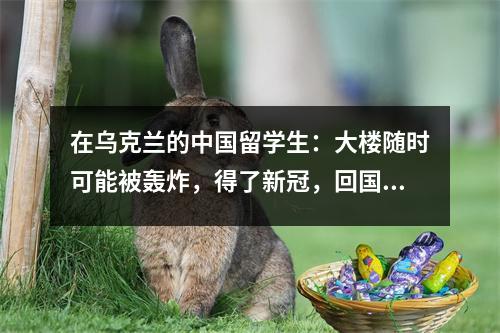在乌克兰的中国留学生：大楼随时可能被轰炸，得了新冠，回国困难