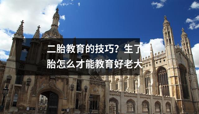 二胎教育的技巧?生了二胎怎么才能教育好老大