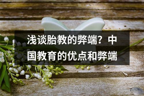 浅谈胎教的弊端?中国教育的优点和弊端