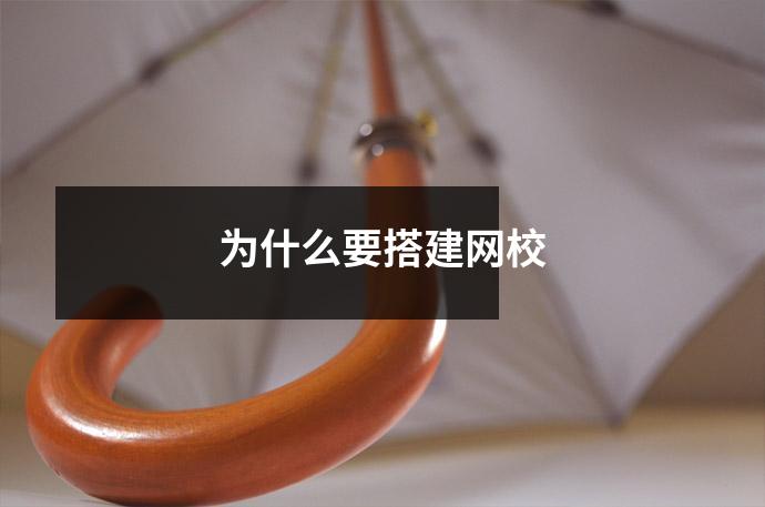 为什么要搭建网校