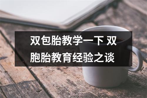 双包胎教学一下 双胞胎教育经验之谈