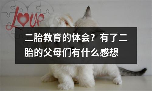 二胎教育的体会?有了二胎的父母们有什么感想