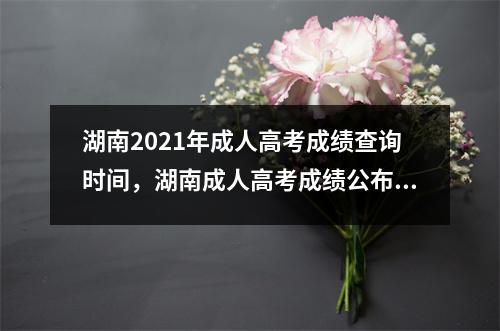 湖南2021年成人高考成绩查询时间,湖南成人高考成绩公布时间