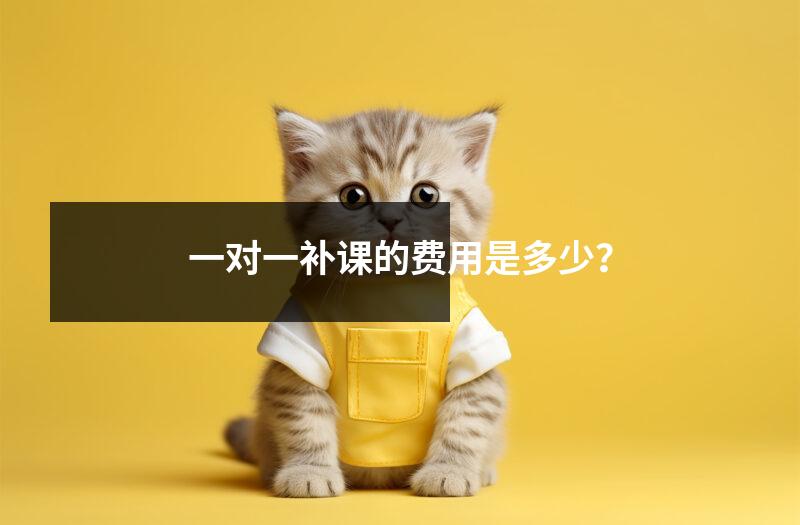 一对一补课的费用是多少?