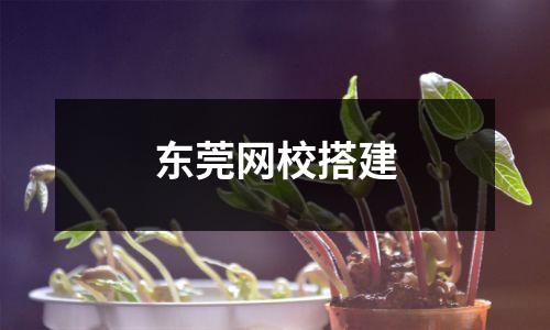 东莞网校搭建
