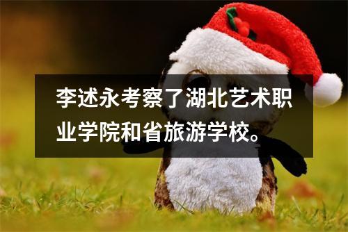 李述永考察了湖北艺术职业学院和省旅游学校。