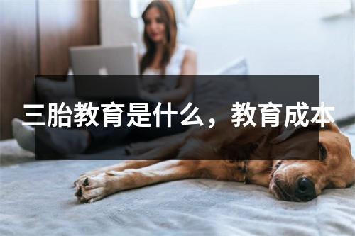三胎教育是什么,教育成本