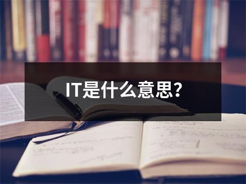 IT是什么意思?