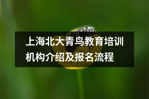 上海北大青鸟教育培训机构介绍及报名流程