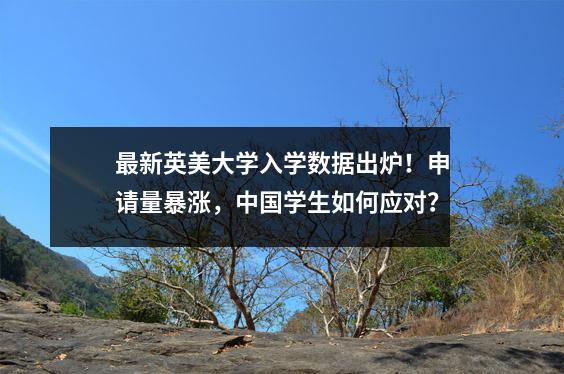 最新英美大学入学数据出炉!申请量暴涨,中国学生如何应对?