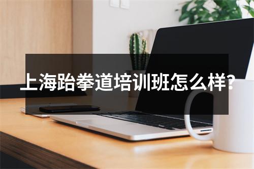 上海跆拳道培训班怎么样?