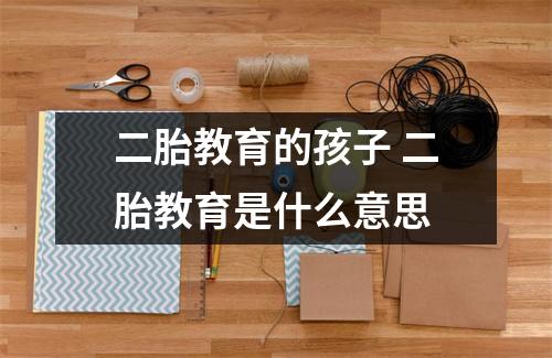 二胎教育的孩子 二胎教育是什么意思