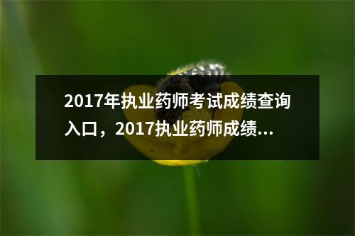 2017年执业药师考试成绩查询入口,2017执业药师成绩查询官网