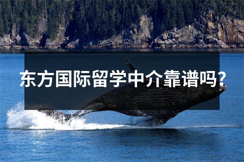 东方国际留学中介靠谱吗?