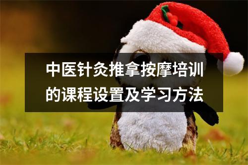 中医针灸推拿按摩培训的课程设置及学习方法