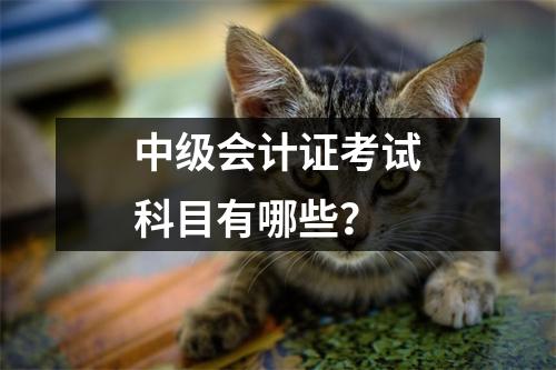 中级会计证考试科目有哪些?
