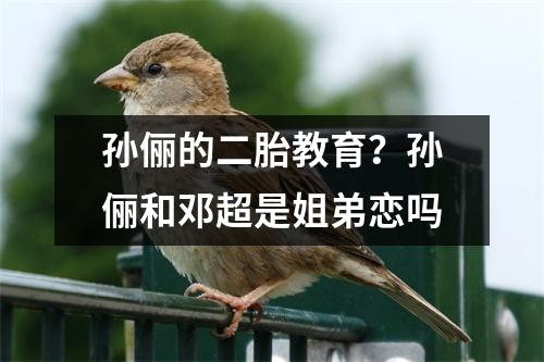 孙俪的二胎教育?孙俪和邓超是姐弟恋吗