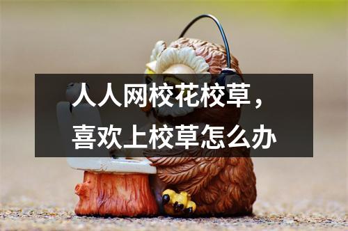 人人网校花校草，喜欢上校草怎么办