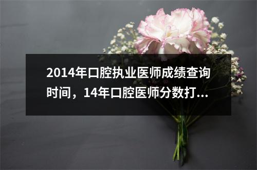 2014年口腔执业医师成绩查询时间，14年口腔医师分数打印入口