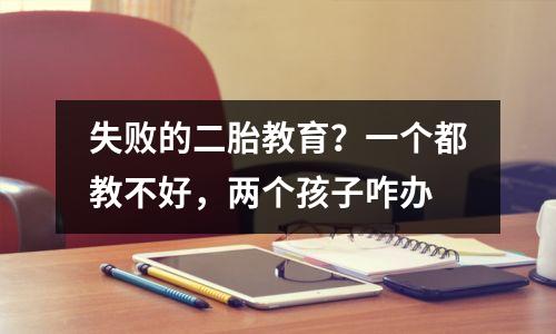 失败的二胎教育?一个都教不好,两个孩子咋办