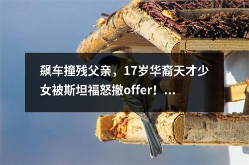 飙车撞残父亲,17岁华裔天才少女被斯坦福怒撤offer!令人唏嘘…
