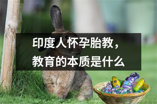 印度人怀孕胎教,教育的本质是什么