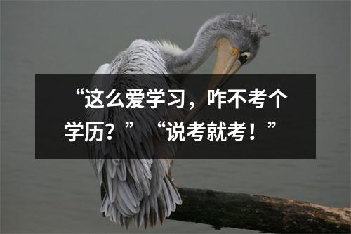 “这么爱学习,咋不考个学历?”“说考就考!”
