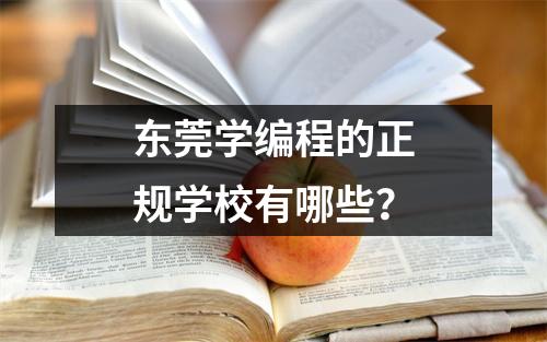 东莞学编程的正规学校有哪些?