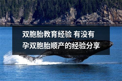 双胞胎教育经验 有没有孕双胞胎顺产的经验分享