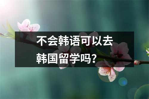 不会韩语可以去韩国留学吗？