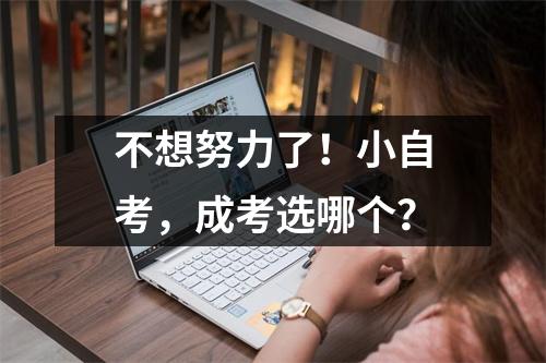 不想努力了!小自考,成考选哪个?